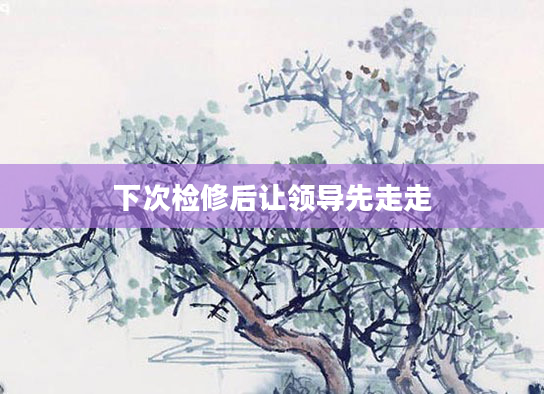 下次检修后让领导先走走