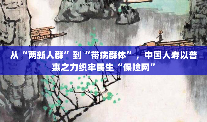 从“两新人群”到“带病群体”，中国人寿以普惠之力织牢民生“保障网”