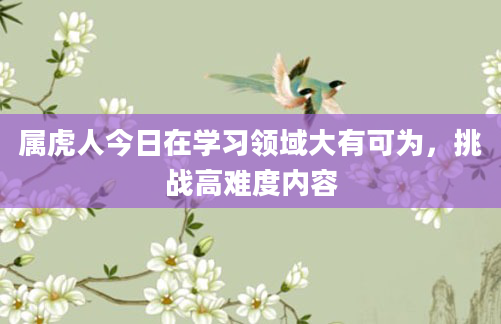 属虎人今日在学习领域大有可为，挑战高难度内容