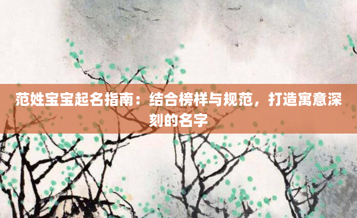 范姓宝宝起名指南：结合榜样与规范，打造寓意深刻的名字