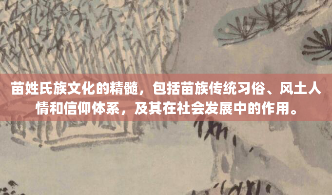 苗姓氏族文化的精髓，包括苗族传统习俗、风土人情和信仰体系，及其在社会发展中的作用。