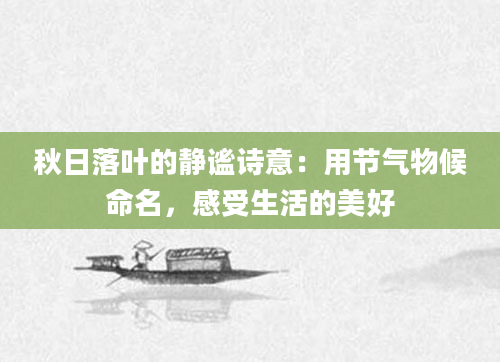 秋日落叶的静谧诗意：用节气物候命名，感受生活的美好