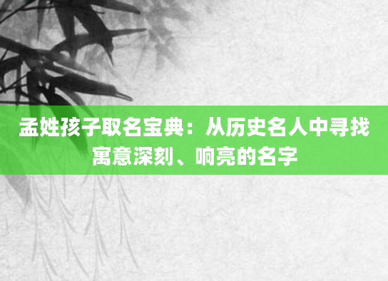 孟姓孩子取名宝典：从历史名人中寻找寓意深刻、响亮的名字