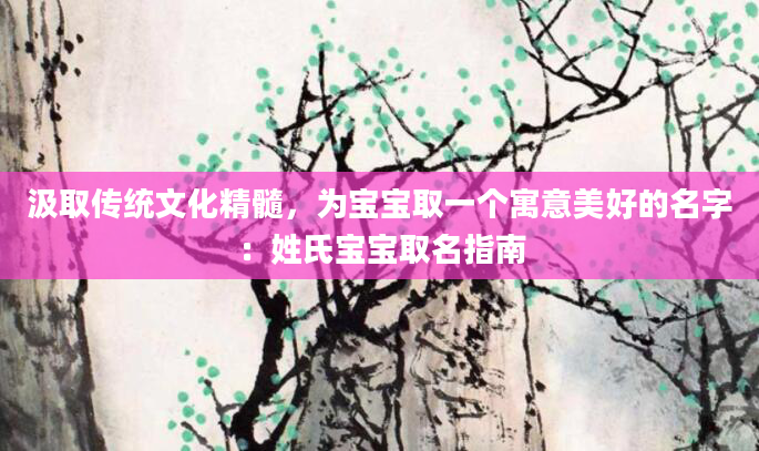 汲取传统文化精髓，为宝宝取一个寓意美好的名字：姓氏宝宝取名指南