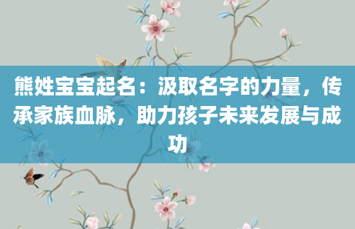 熊姓宝宝起名：汲取名字的力量，传承家族血脉，助力孩子未来发展与成功
