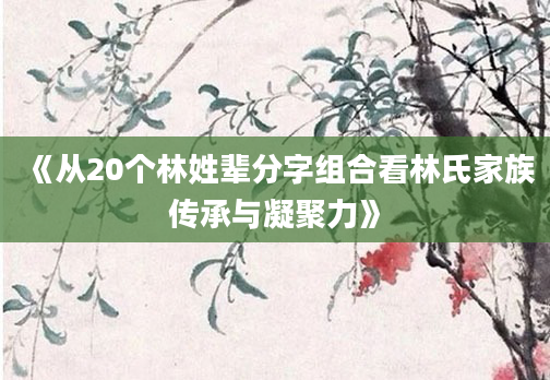 《从20个林姓辈分字组合看林氏家族传承与凝聚力》