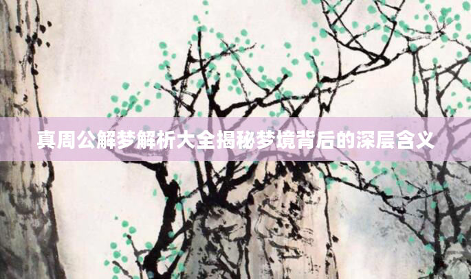 真周公解梦解析大全揭秘梦境背后的深层含义