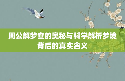 周公解梦查的奥秘与科学解析梦境背后的真实含义