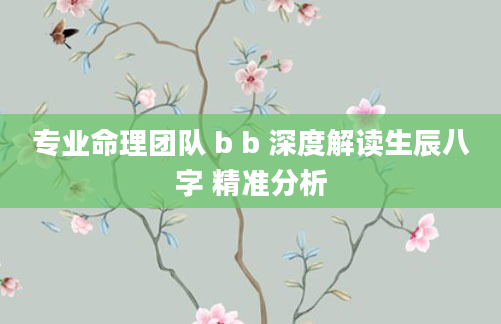 专业命理团队 b b 深度解读生辰八字 精准分析