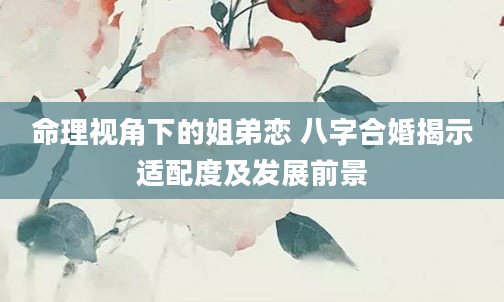 命理视角下的姐弟恋 八字合婚揭示适配度及发展前景