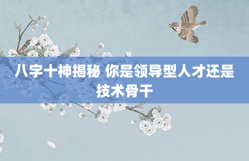 八字十神揭秘 你是领导型人才还是技术骨干