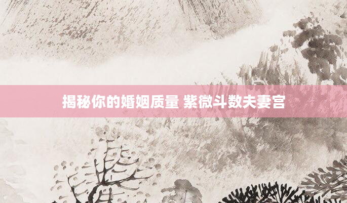 揭秘你的婚姻质量 紫微斗数夫妻宫