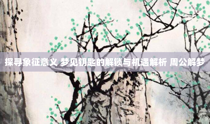 探寻象征意义 梦见钥匙的解锁与机遇解析 周公解梦