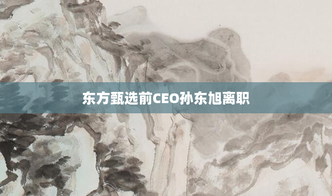 东方甄选前CEO孙东旭离职