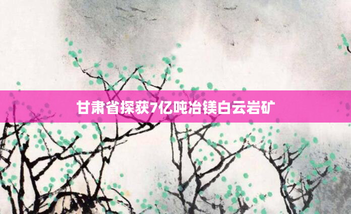 甘肃省探获7亿吨冶镁白云岩矿