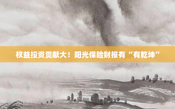 权益投资贡献大！阳光保险财报有“有乾坤”