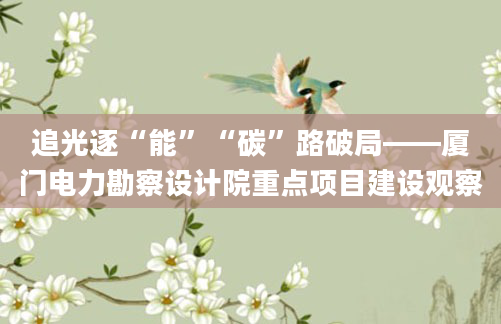 追光逐“能”“碳”路破局——厦门电力勘察设计院重点项目建设观察