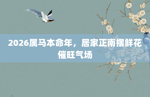 2026属马本命年，居家正南摆鲜花催旺气场