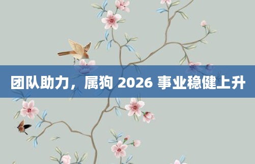 团队助力，属狗 2026 事业稳健上升