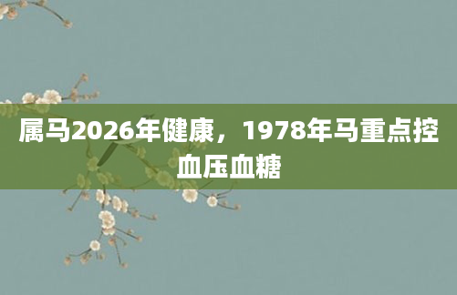 属马2026年健康，1978年马重点控血压血糖