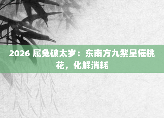 2026 属兔破太岁：东南方九紫星催桃花，化解消耗