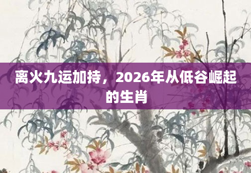 离火九运加持，2026年从低谷崛起的生肖