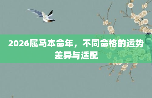 2026属马本命年，不同命格的运势差异与适配