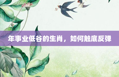 年事业低谷的生肖，如何触底反弹