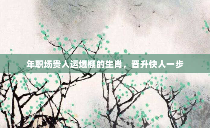 年职场贵人运爆棚的生肖，晋升快人一步