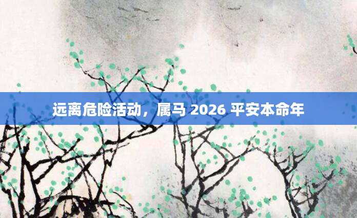 远离危险活动，属马 2026 平安本命年