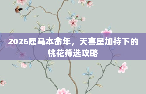2026属马本命年，天喜星加持下的桃花筛选攻略
