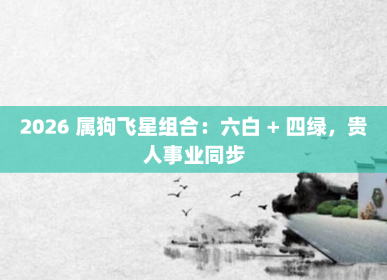 2026 属狗飞星组合：六白 + 四绿，贵人事业同步