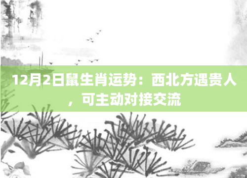 12月2日鼠生肖运势：西北方遇贵人，可主动对接交流