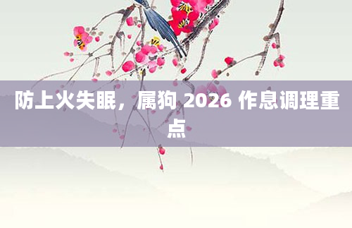 防上火失眠，属狗 2026 作息调理重点
