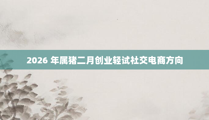 2026 年属猪二月创业轻试社交电商方向