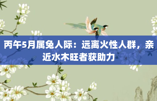 丙午5月属兔人际：远离火性人群，亲近水木旺者获助力
