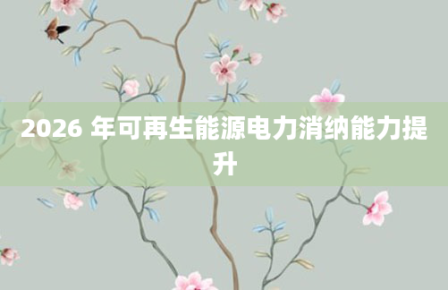 2026 年可再生能源电力消纳能力提升