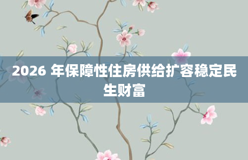 2026 年保障性住房供给扩容稳定民生财富