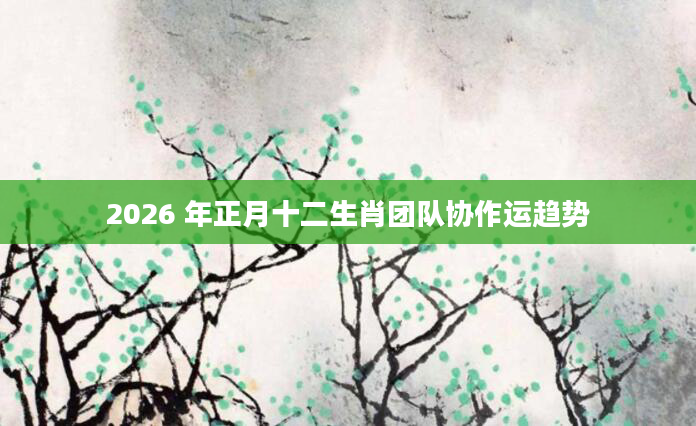 2026 年正月十二生肖团队协作运趋势