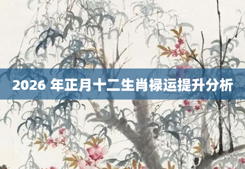 2026 年正月十二生肖禄运提升分析
