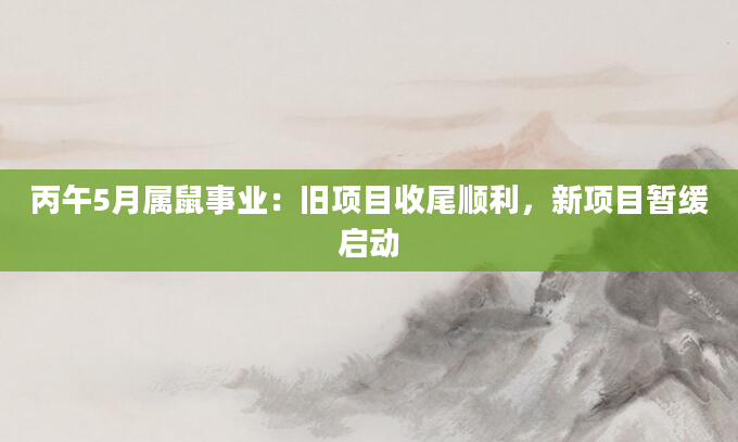 丙午5月属鼠事业：旧项目收尾顺利，新项目暂缓启动