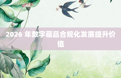 2026 年数字藏品合规化发展提升价值