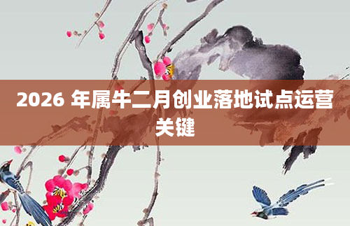 2026 年属牛二月创业落地试点运营关键