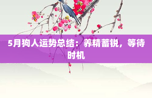 5月狗人运势总结：养精蓄锐，等待时机