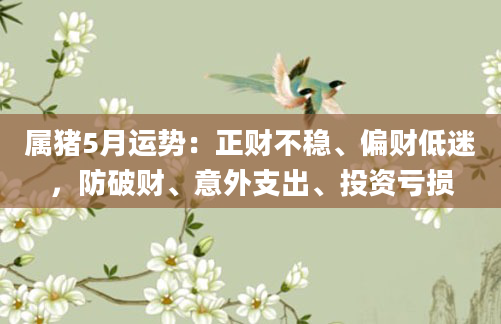 属猪5月运势：正财不稳、偏财低迷，防破财、意外支出、投资亏损