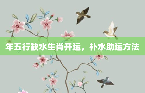 年五行缺水生肖开运，补水助运方法