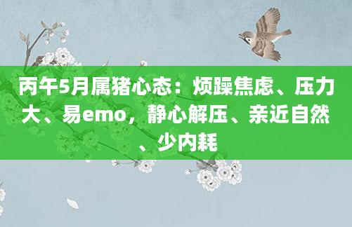 丙午5月属猪心态：烦躁焦虑、压力大、易emo，静心解压、亲近自然、少内耗