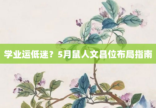 学业运低迷？5月鼠人文昌位布局指南