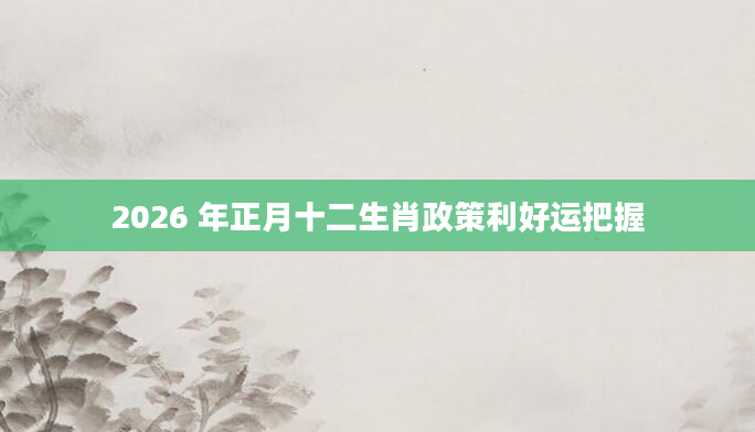 2026 年正月十二生肖政策利好运把握