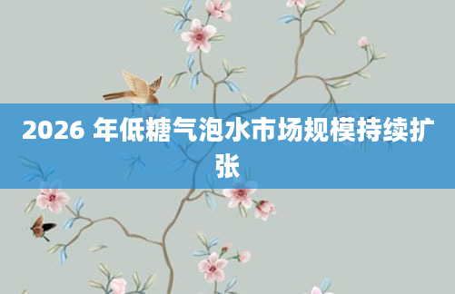 2026 年低糖气泡水市场规模持续扩张